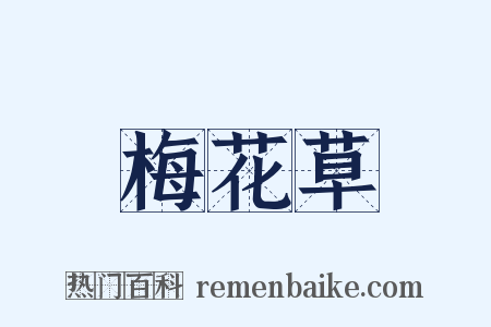 梅花草是什么意思的图片